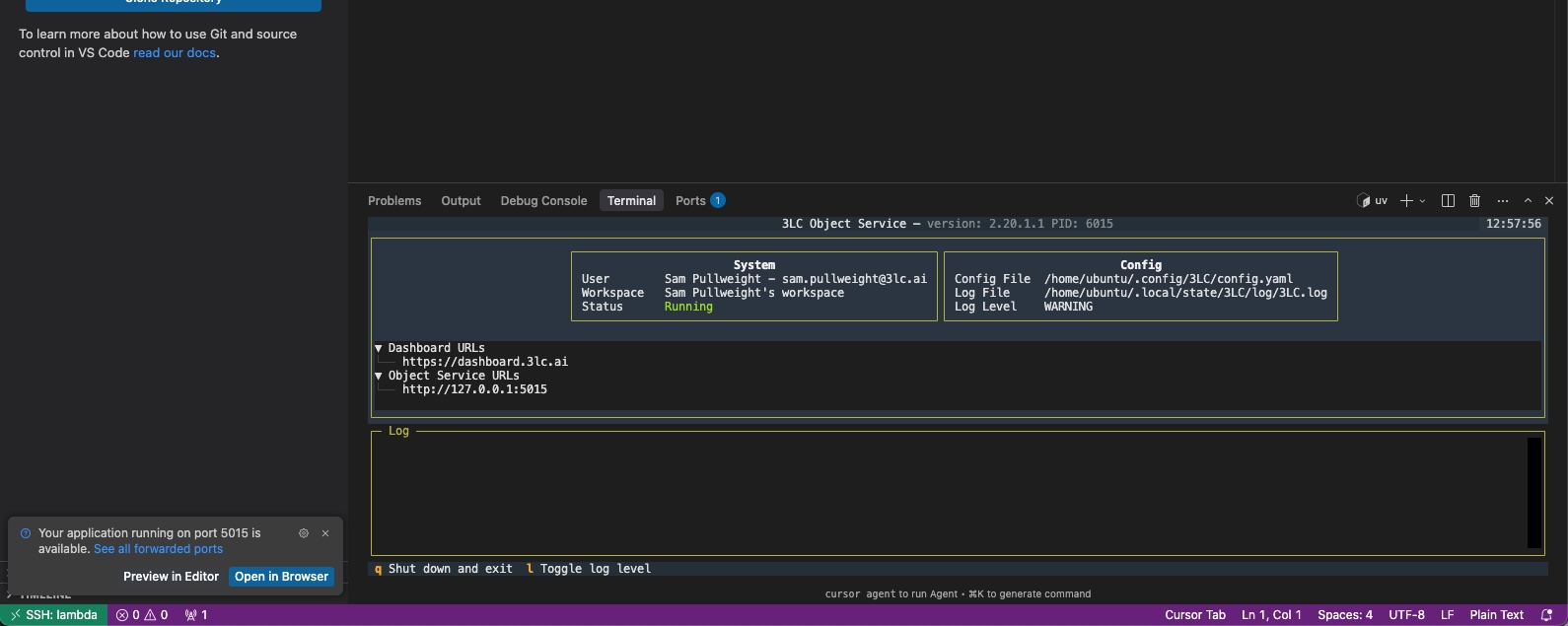 Port forwarding the Object Service port in VS Code / Cursor